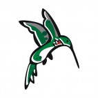 Green hummingbird, decals stickers