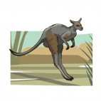 Jumping kangaroo, decals stickers