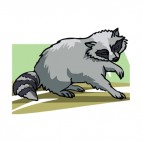 Grey raccoon, decals stickers
