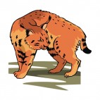 Orange and black striped lynx, decals stickers